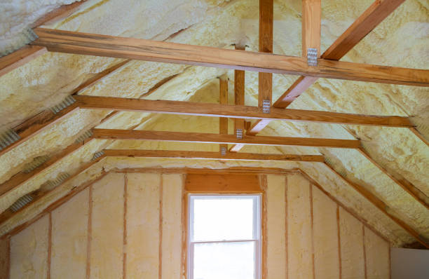 Insulation Inspection Services in St Martinville, LA